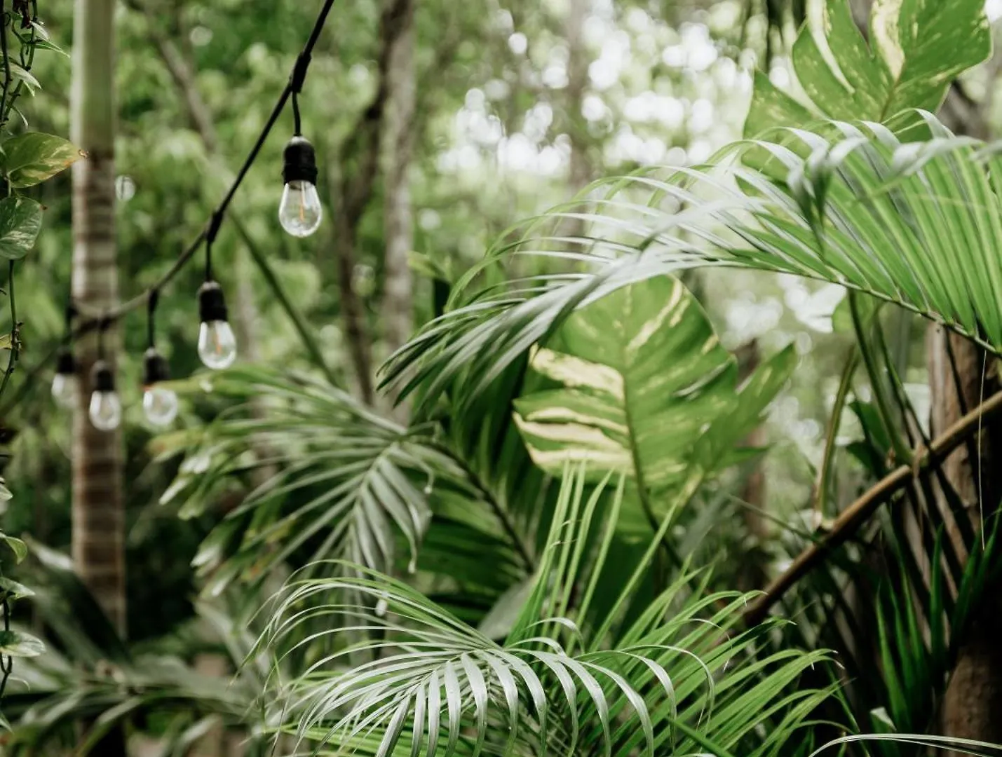 Jungle Boho Villa - Pv Pool - Bbq - Concierge 5A Tulum Pueblo